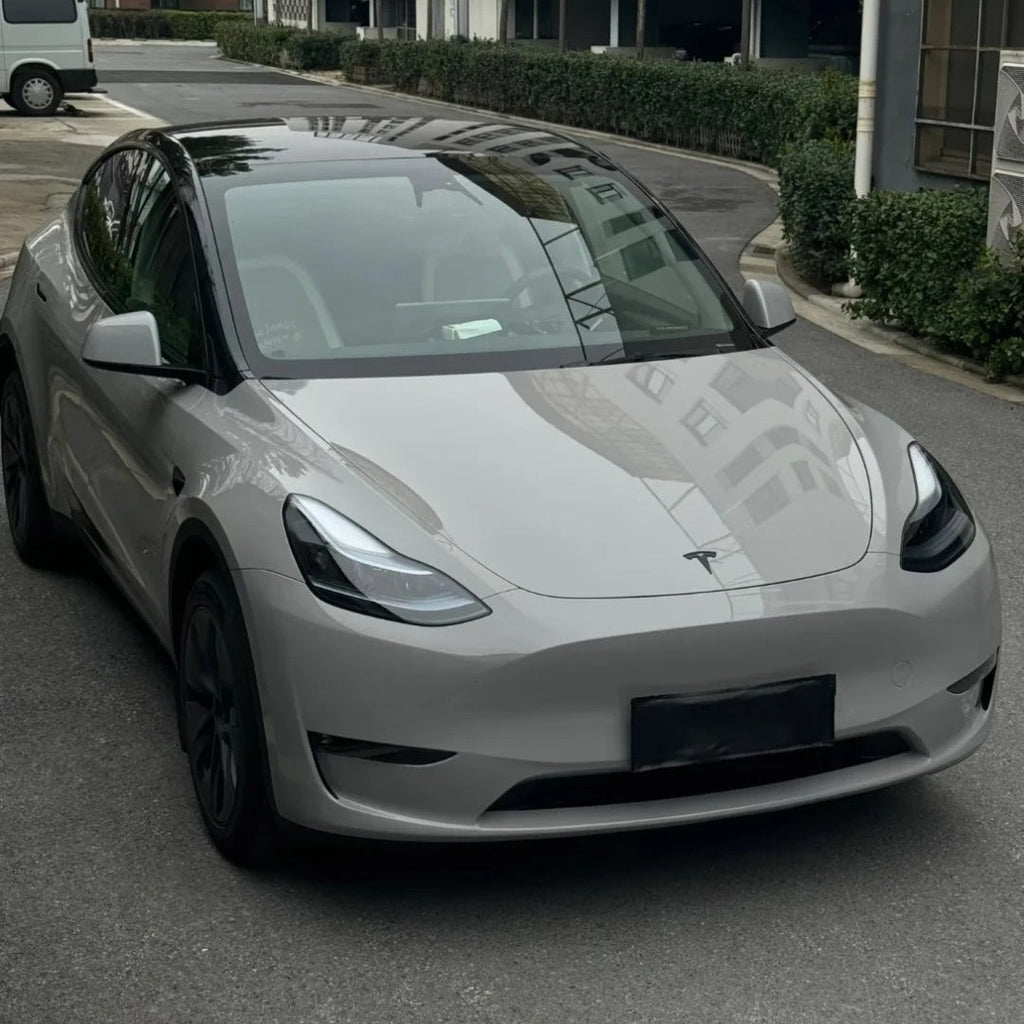 NEOPPF 1005 Dark Chalk Gray film swatch