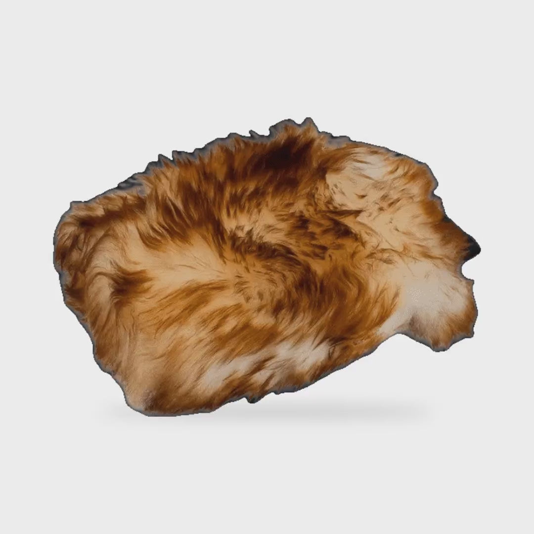 MaxShine 8011004 Sheepskin Wash Mitt - product showcase video (MaxShine) | AUTO SPORTS CAR CARE